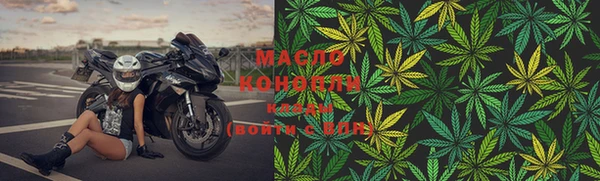 apvp Карпинск